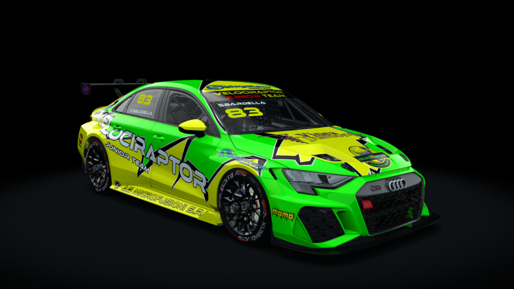 Car Skin