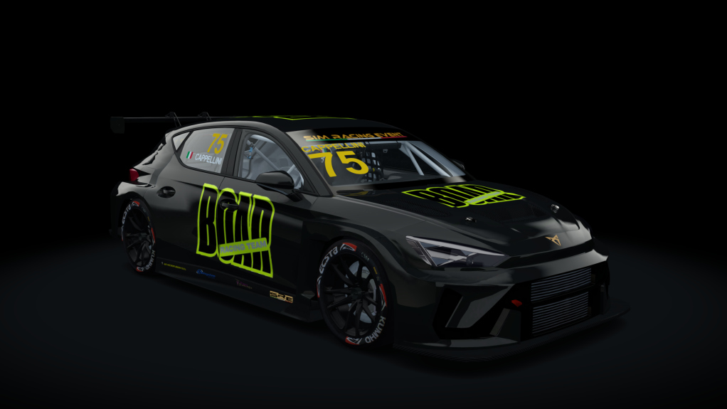 Car Skin