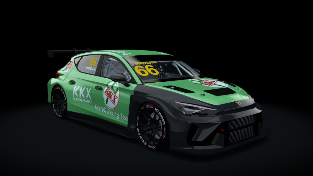 Car Skin